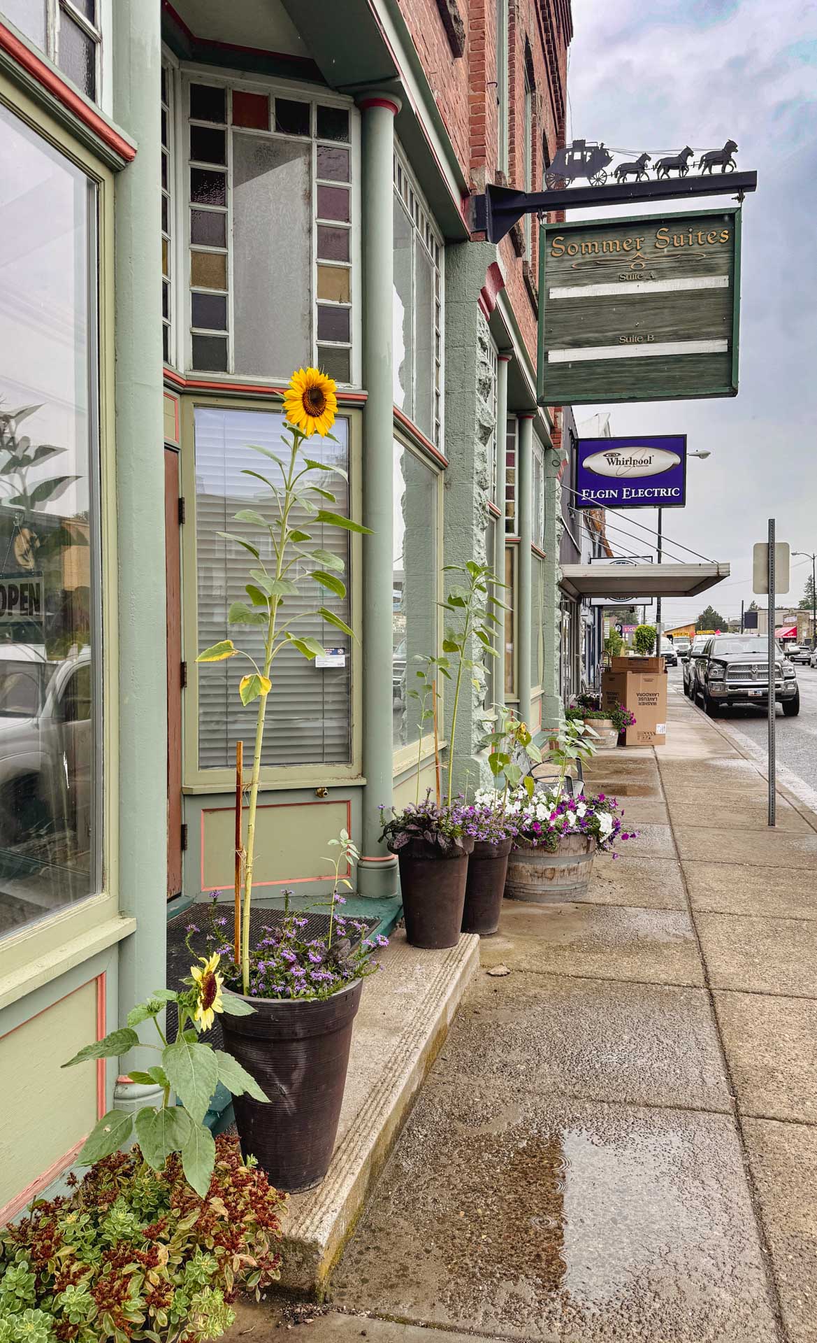 Elgin OR 1 A row of potted flowers, including tall sunflowers, lines the sidewalk outside a green storefront on a cloudy day in a small town. Signs and other businesses are visible along the street.